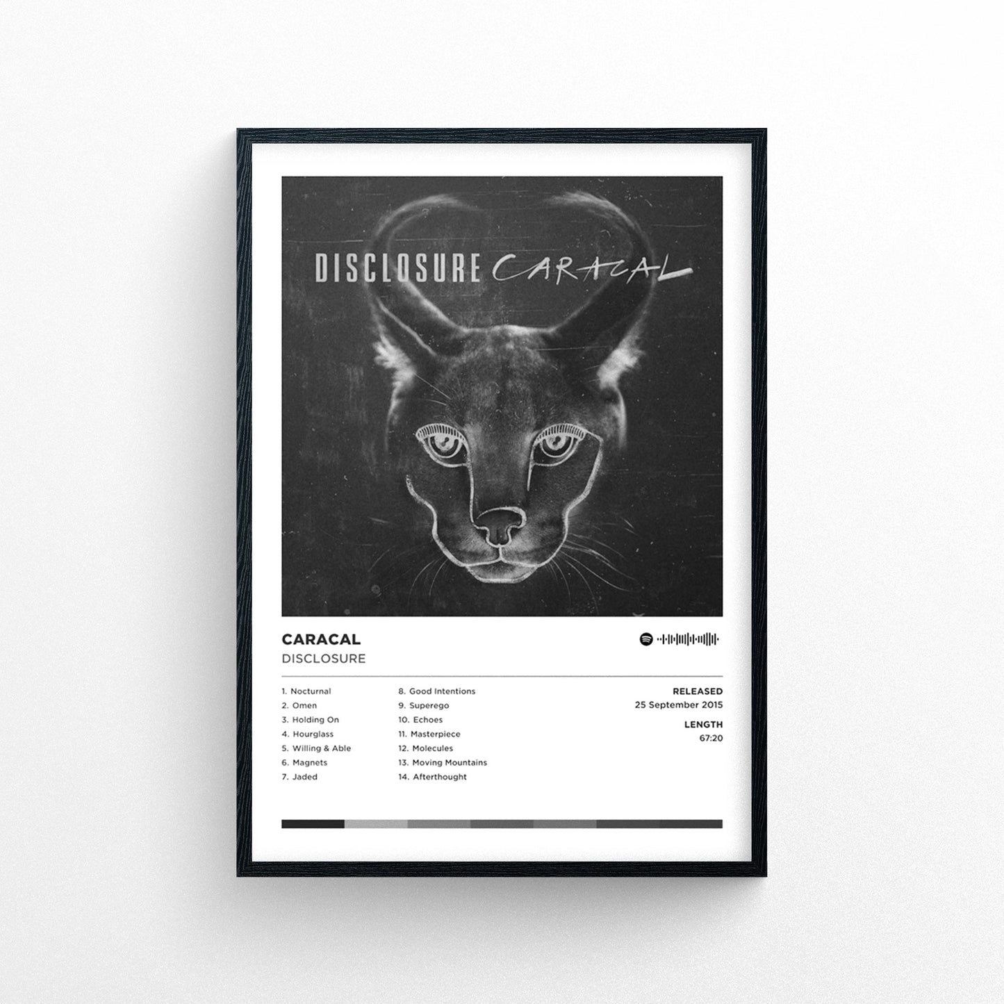 Disclosure - Caracal